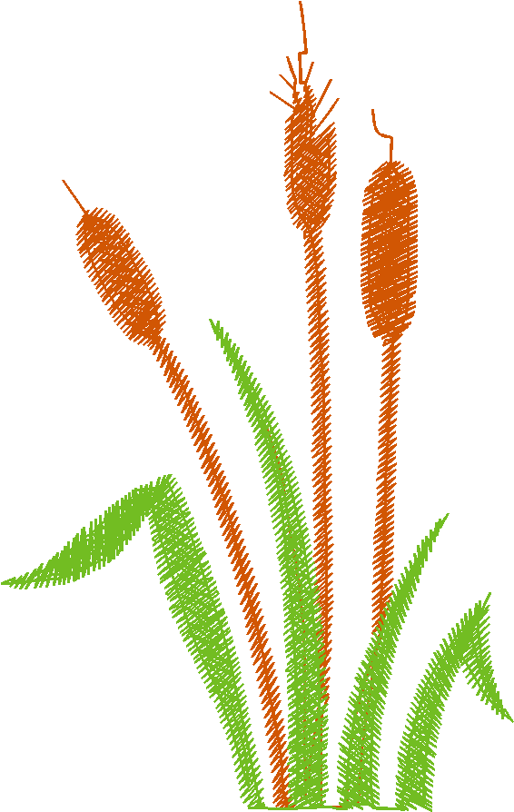 Des01 11