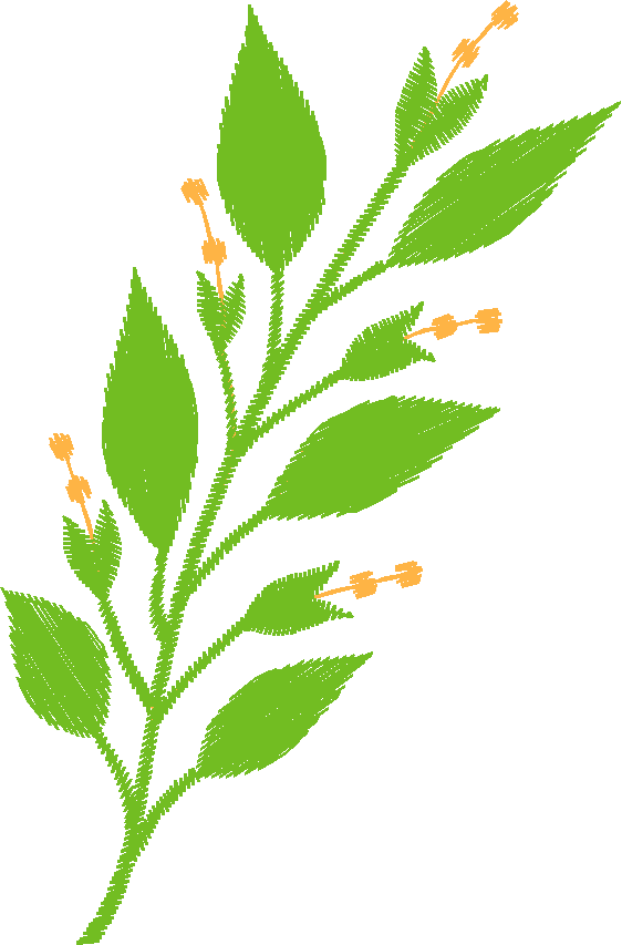Des03 25