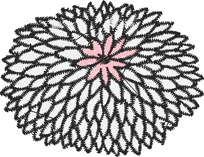 Bl c01 010