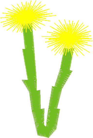 Des12 11