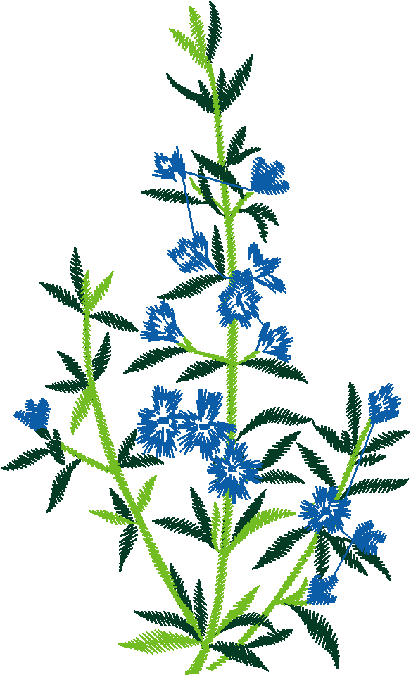 Floral2001