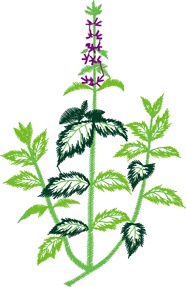 Floral2002