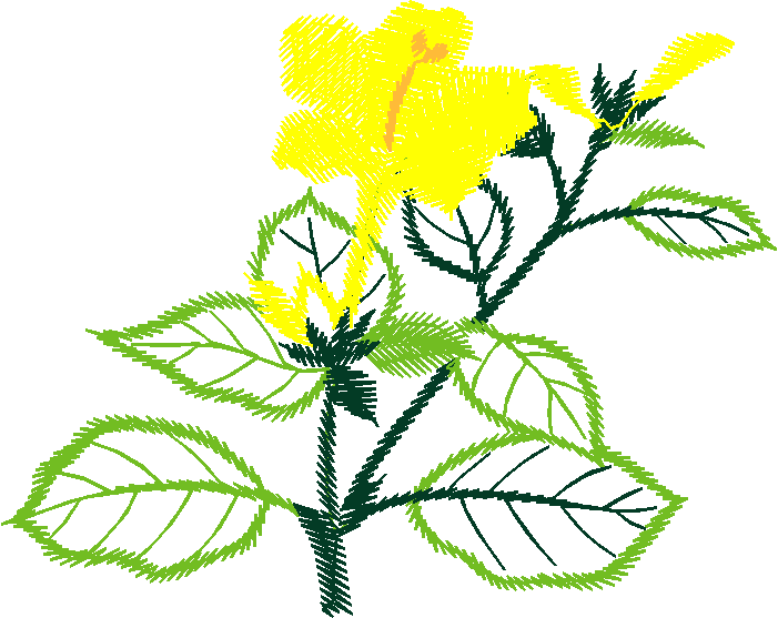 Floral3013