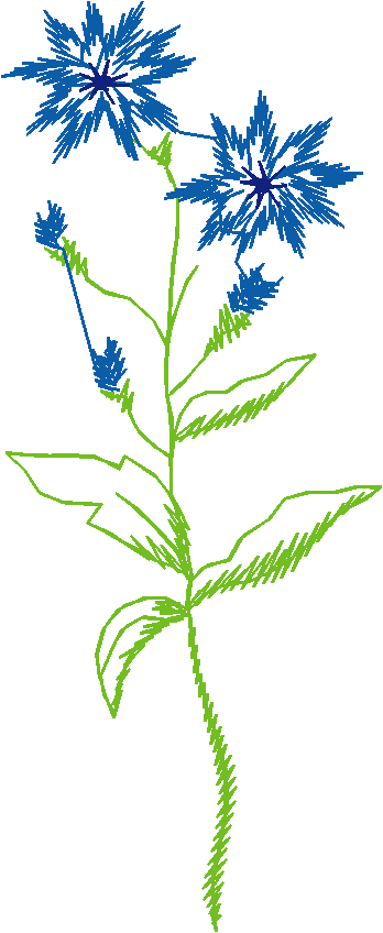 Floral3021