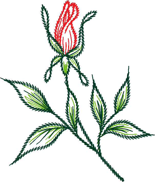 Floral3023