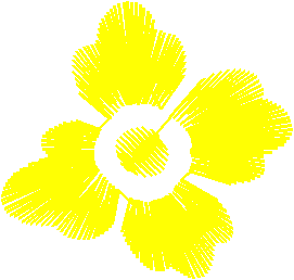 Flower2 2