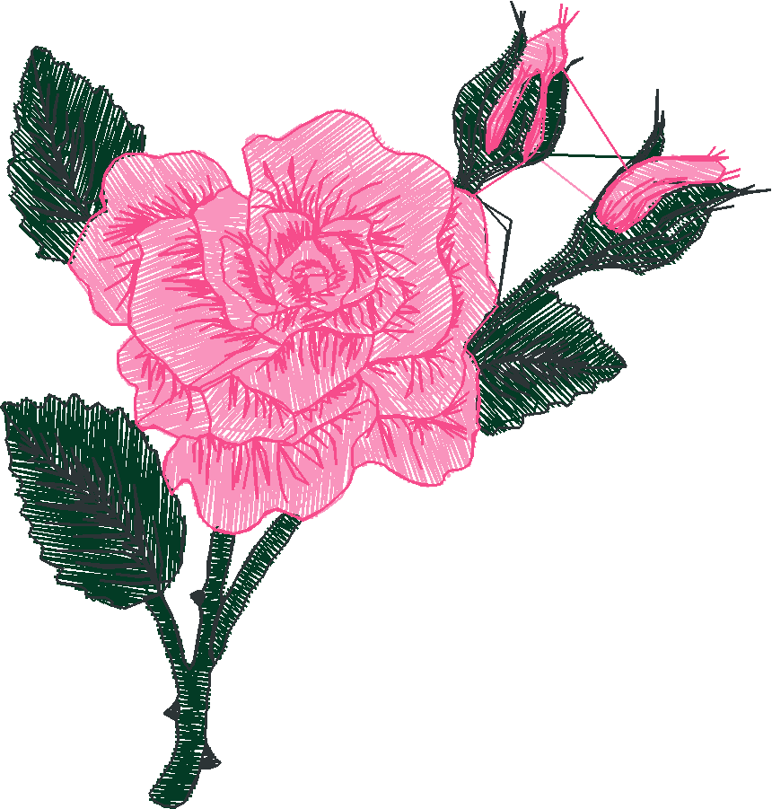 Jmrose90