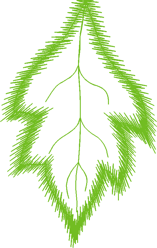 Leafapp2