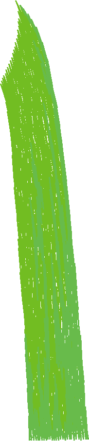 N¦ 31015