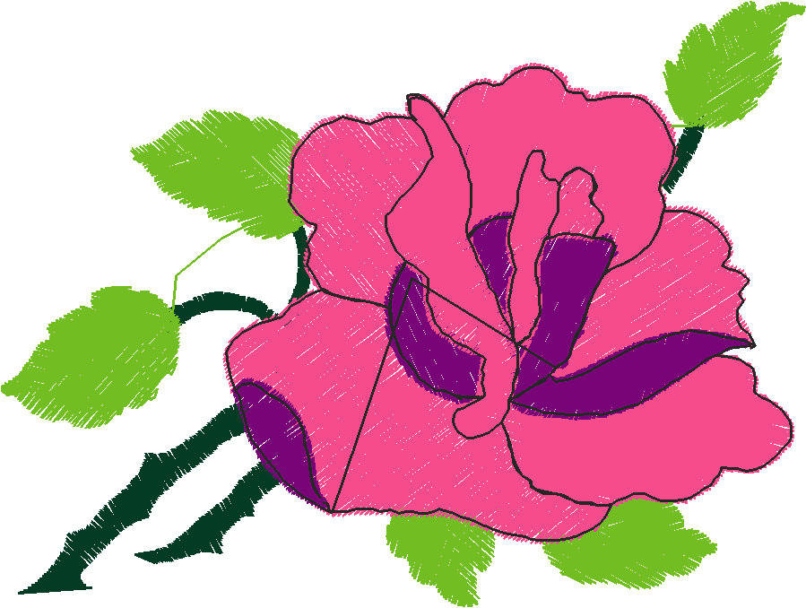 Rose2