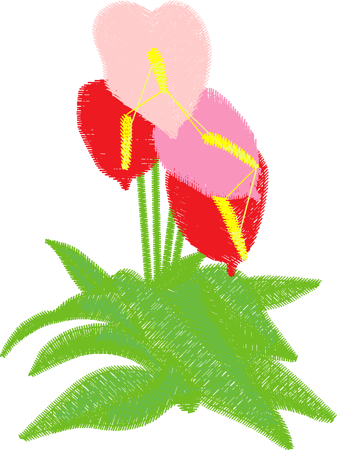 Hawaii 1  (16)