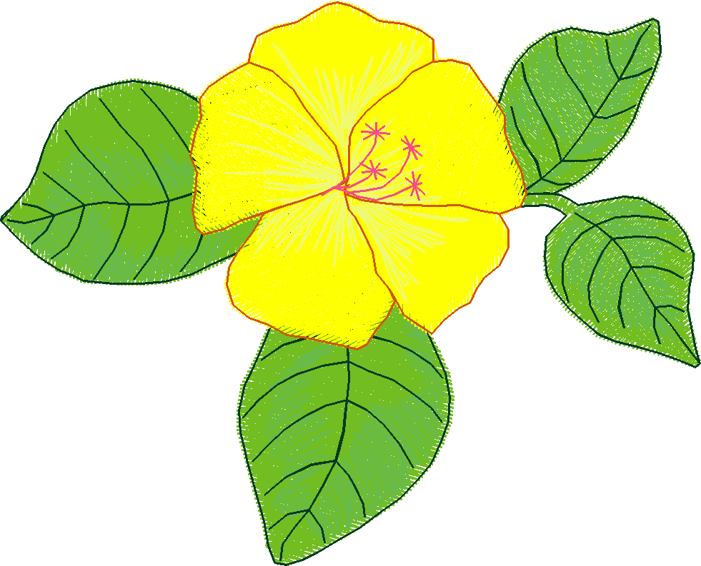 Hawaii 2  (10)