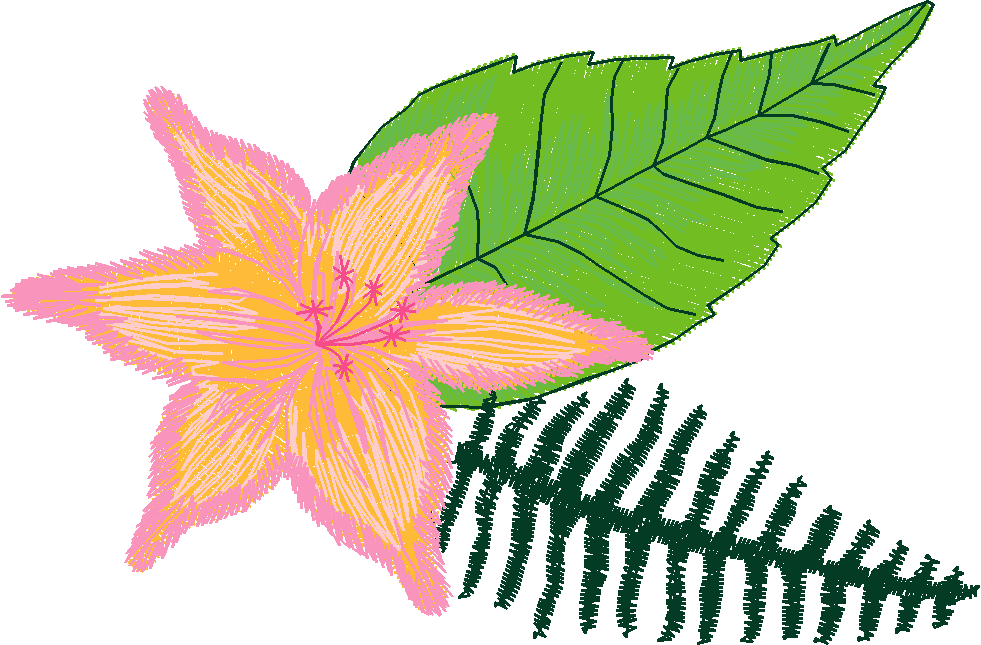 Hawaii 2  (7)