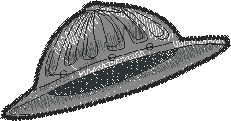 Helmets 1  (16)