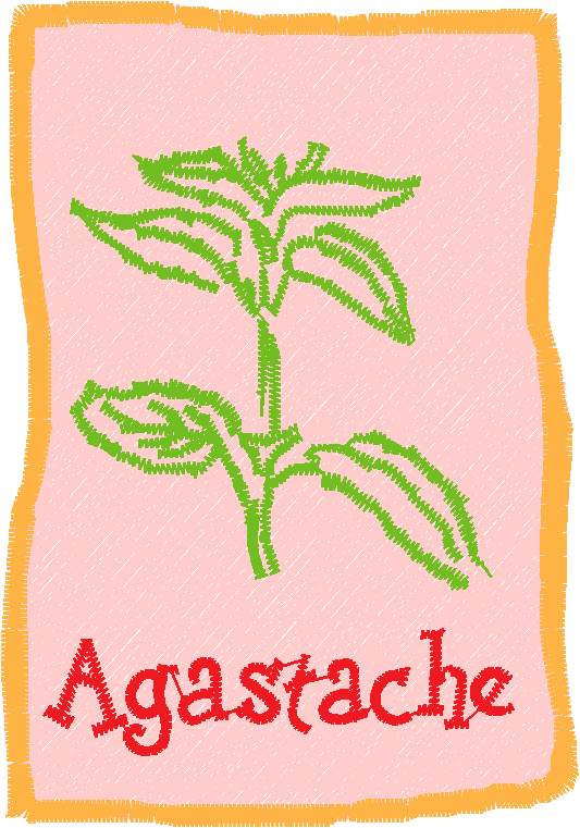 Herb Pallets 1  (9)