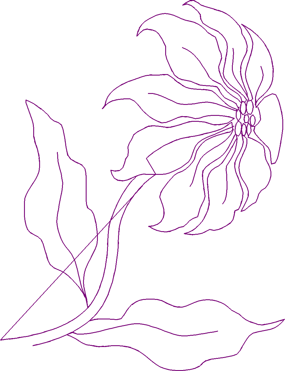 Holiday 27  (42)