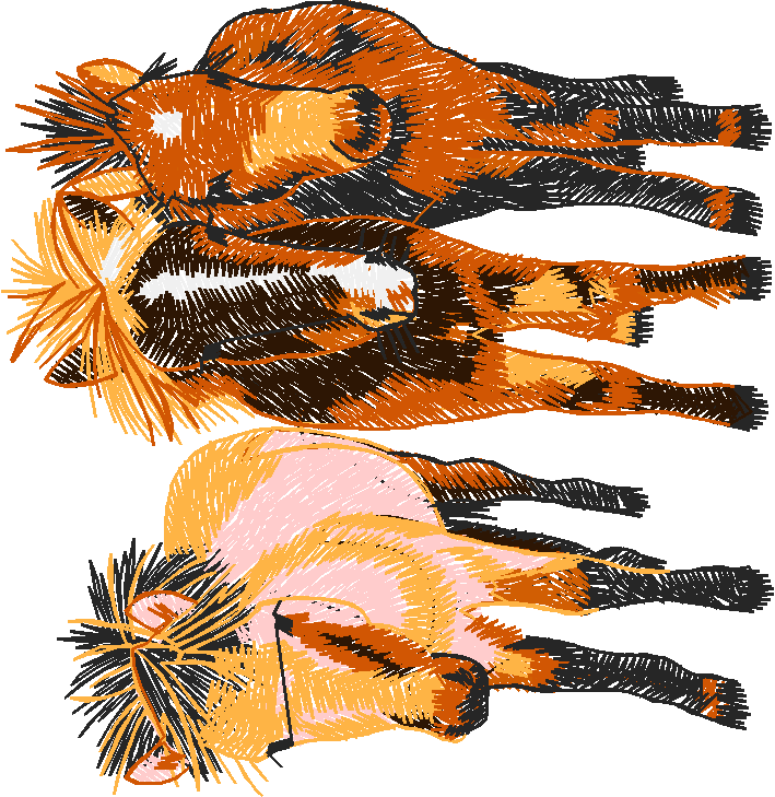 Horses 1  (26)