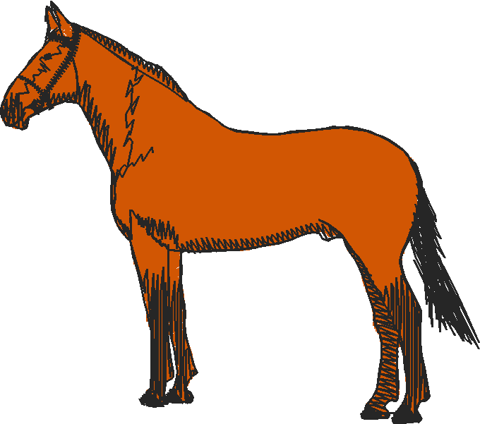 Horses 10 (11)