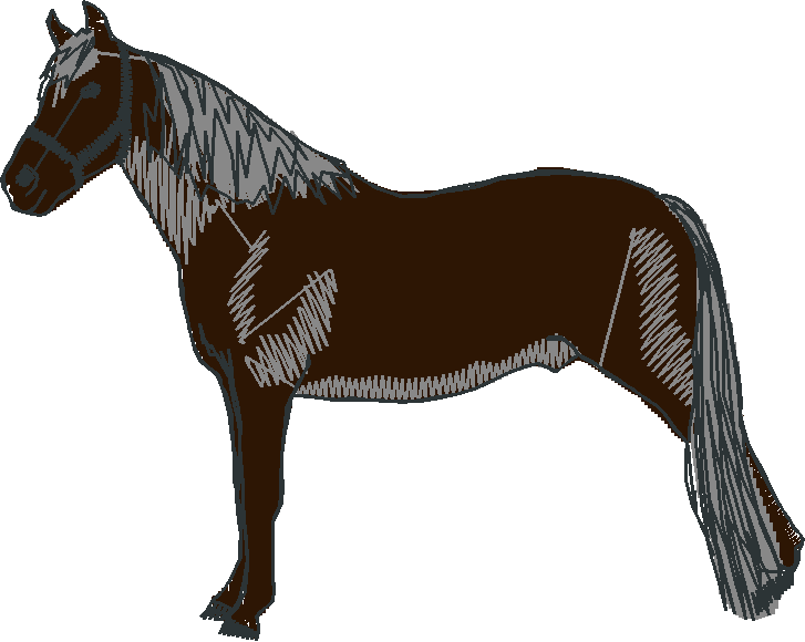 Horses 10 (15)
