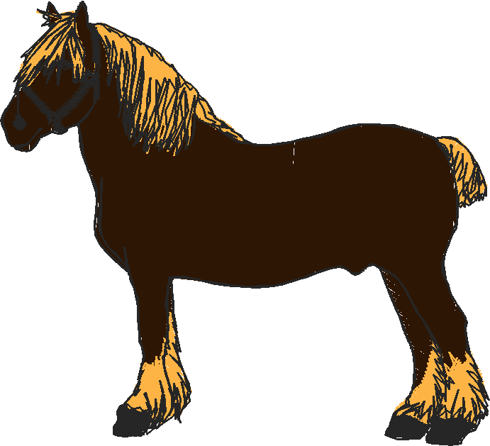 Horses 10 (21)