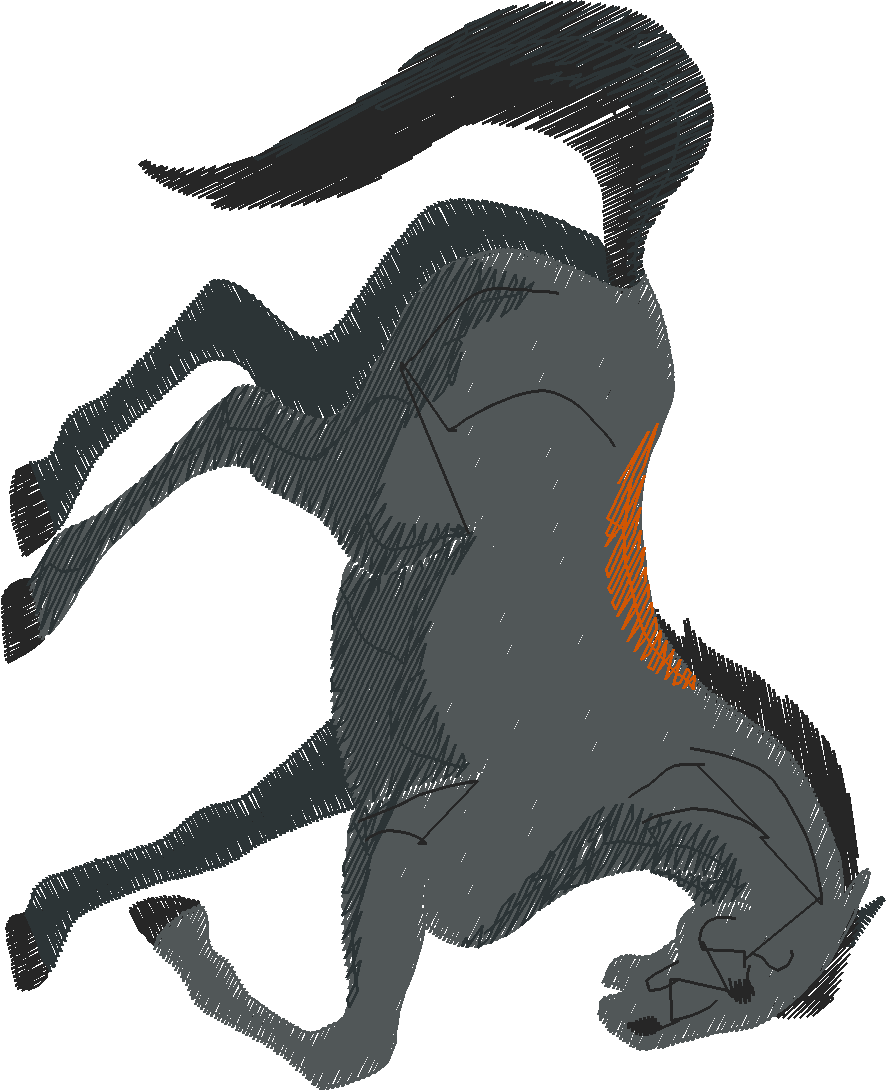 Horses 14  (68)