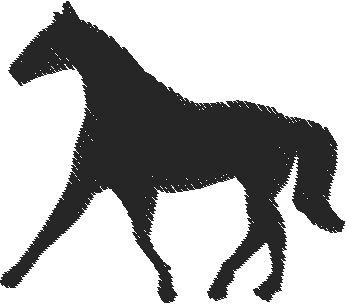Horses 15  (23)