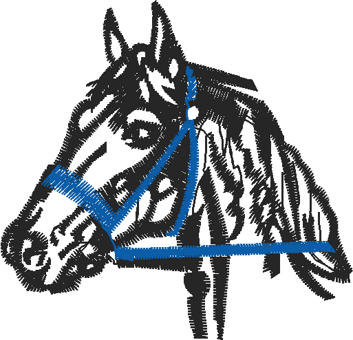 Horses 2  (19)