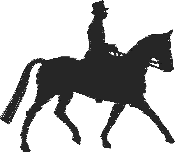 Horses 2  (52)