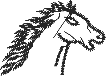 Horses 2  (60)