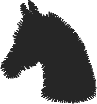 Horses 2  (78)