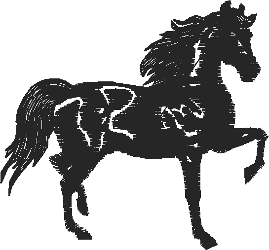 Horses 2  (8)