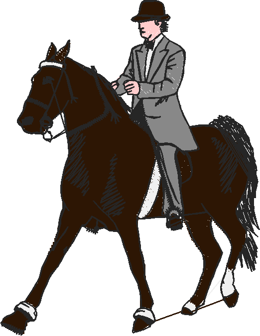 Horses 3  (20)