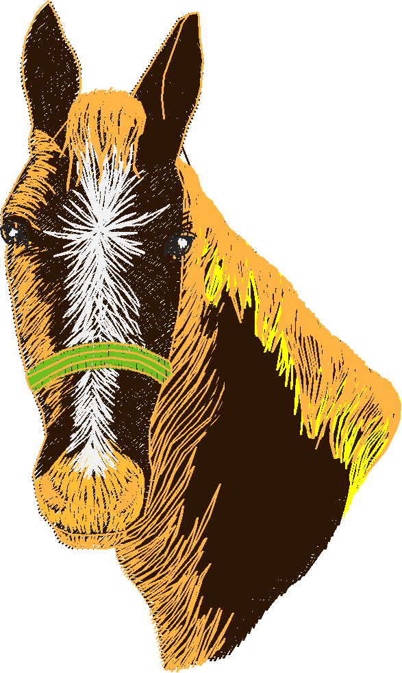 Horses 4  (8)