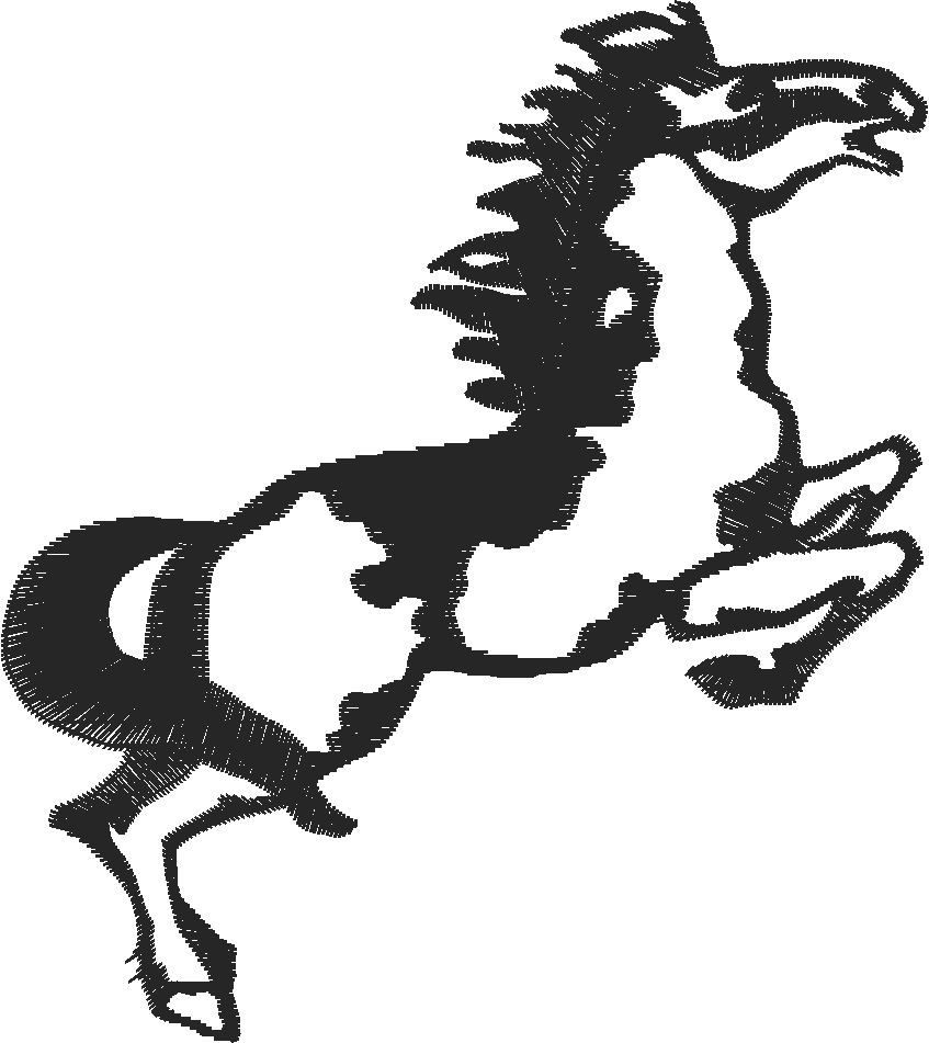 Horses 5  (14)