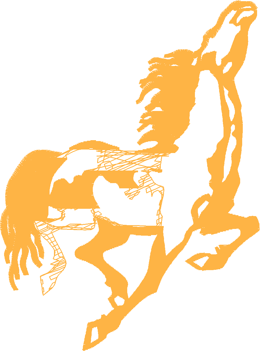 Horses 5  (15)