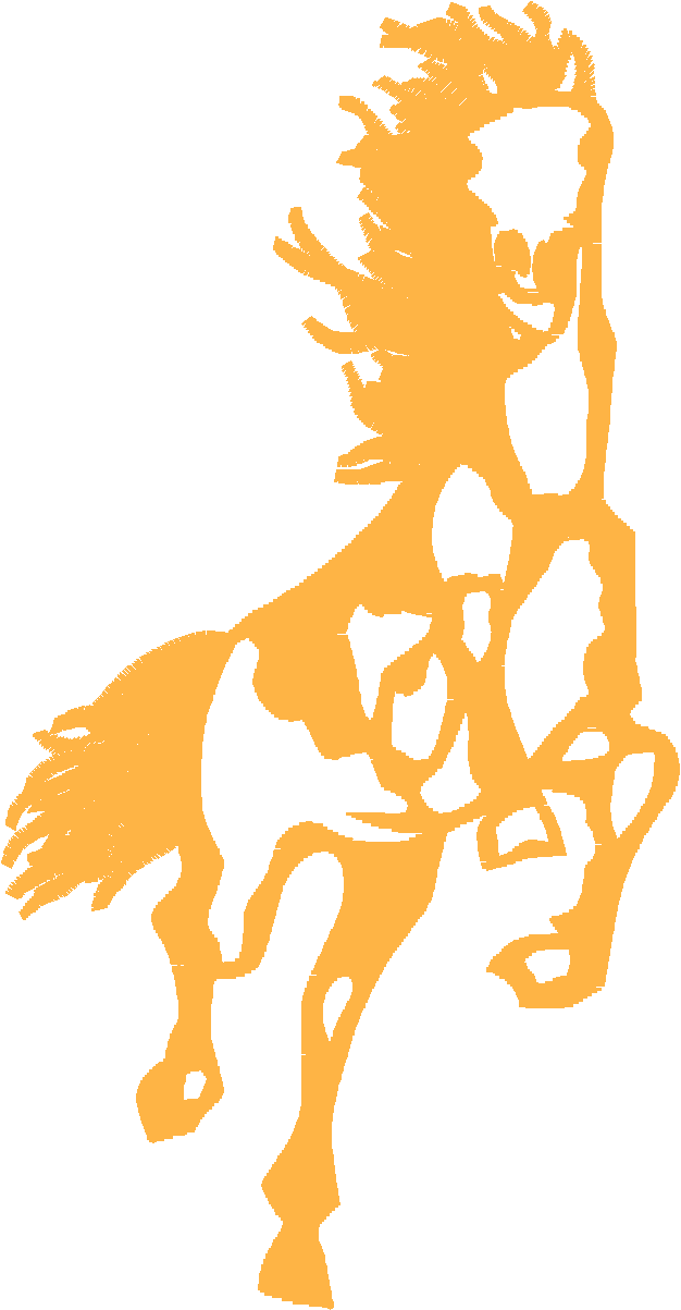 Horses 5  (19)