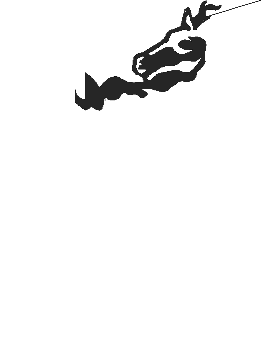 Horses 5  (23)