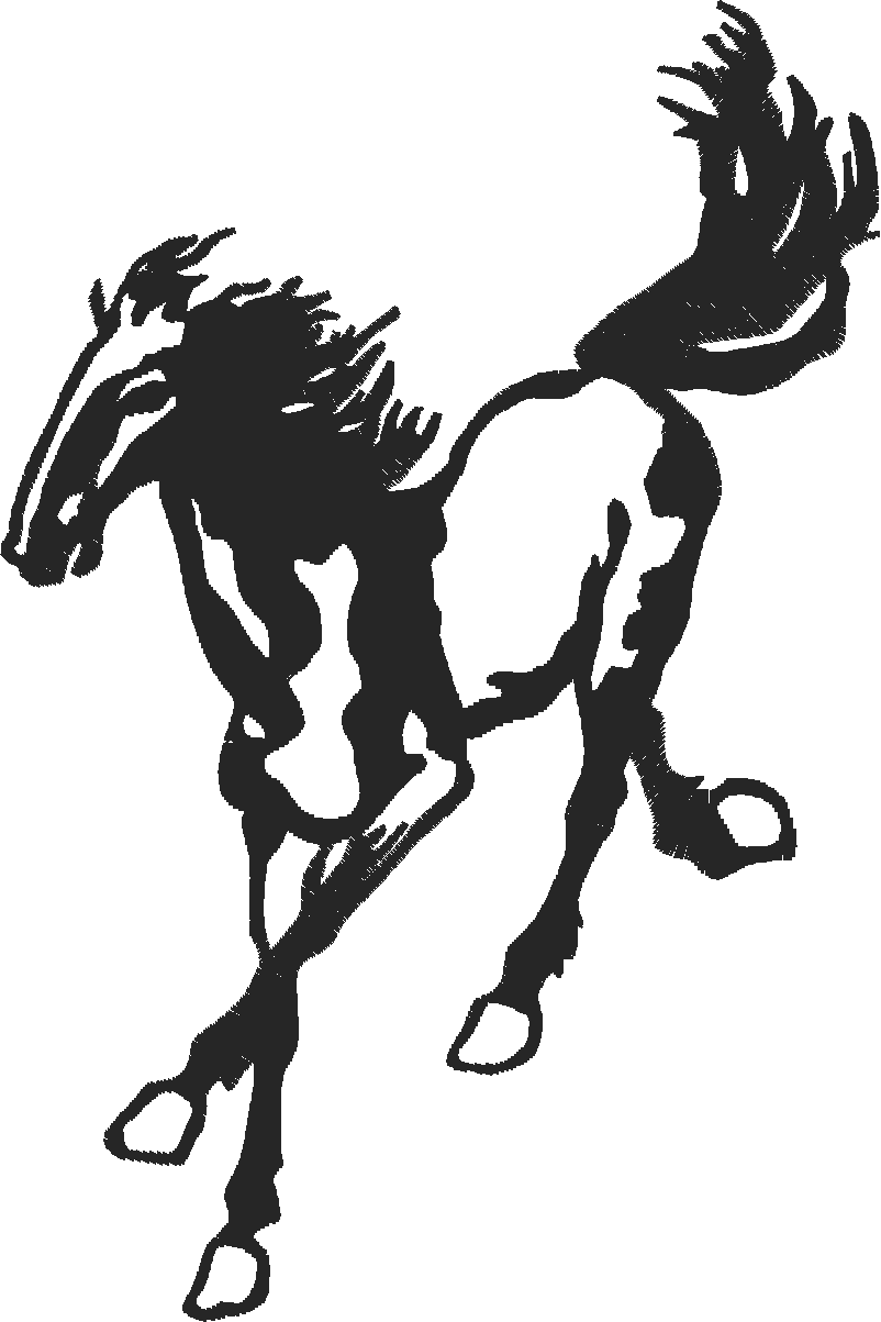 Horses 5  (26)