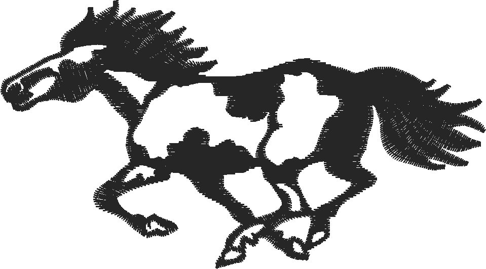 Horses 5  (3)