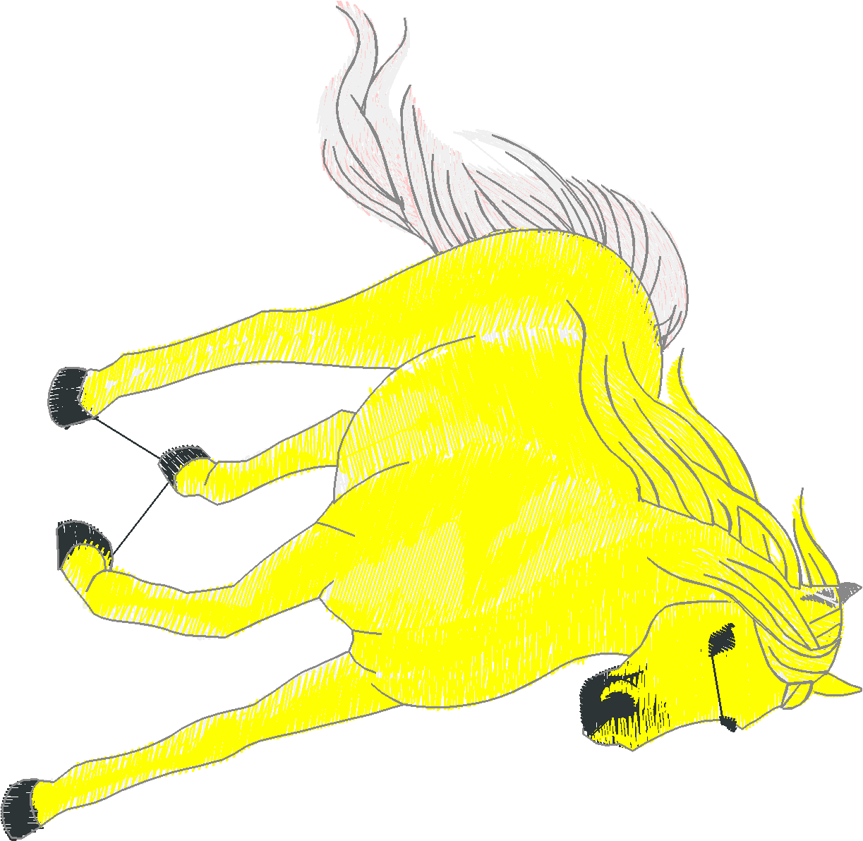 Horses 8  (2)
