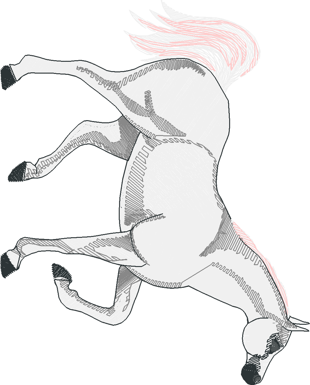 Horses 8  (20)