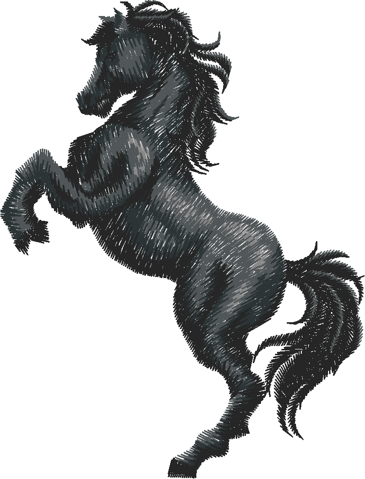 Horses 9  (6)