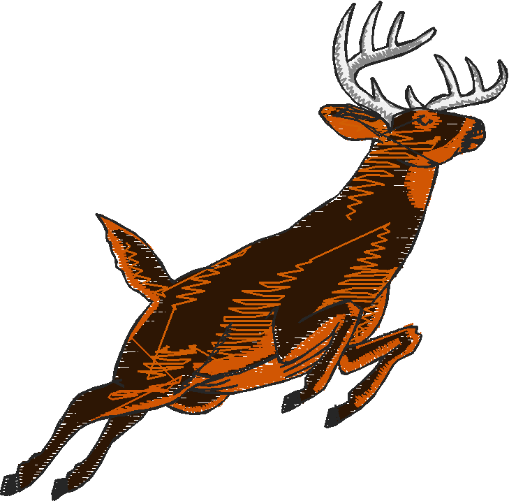Hunting 1  (12)