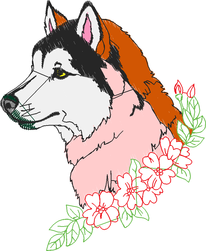 Huskies 1 (4)