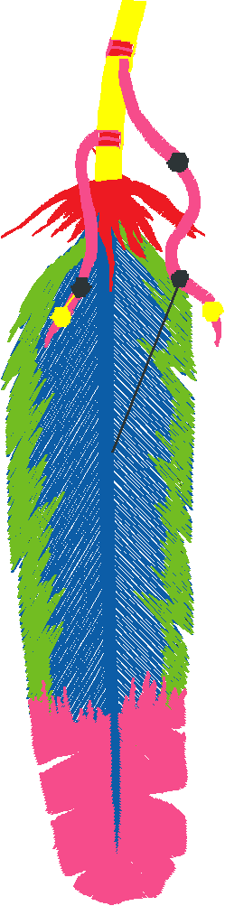 Indians 1  (46)