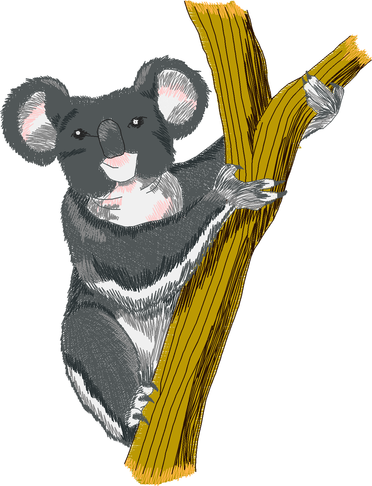 Jumbo   Pandas & Koalas 1  (5)