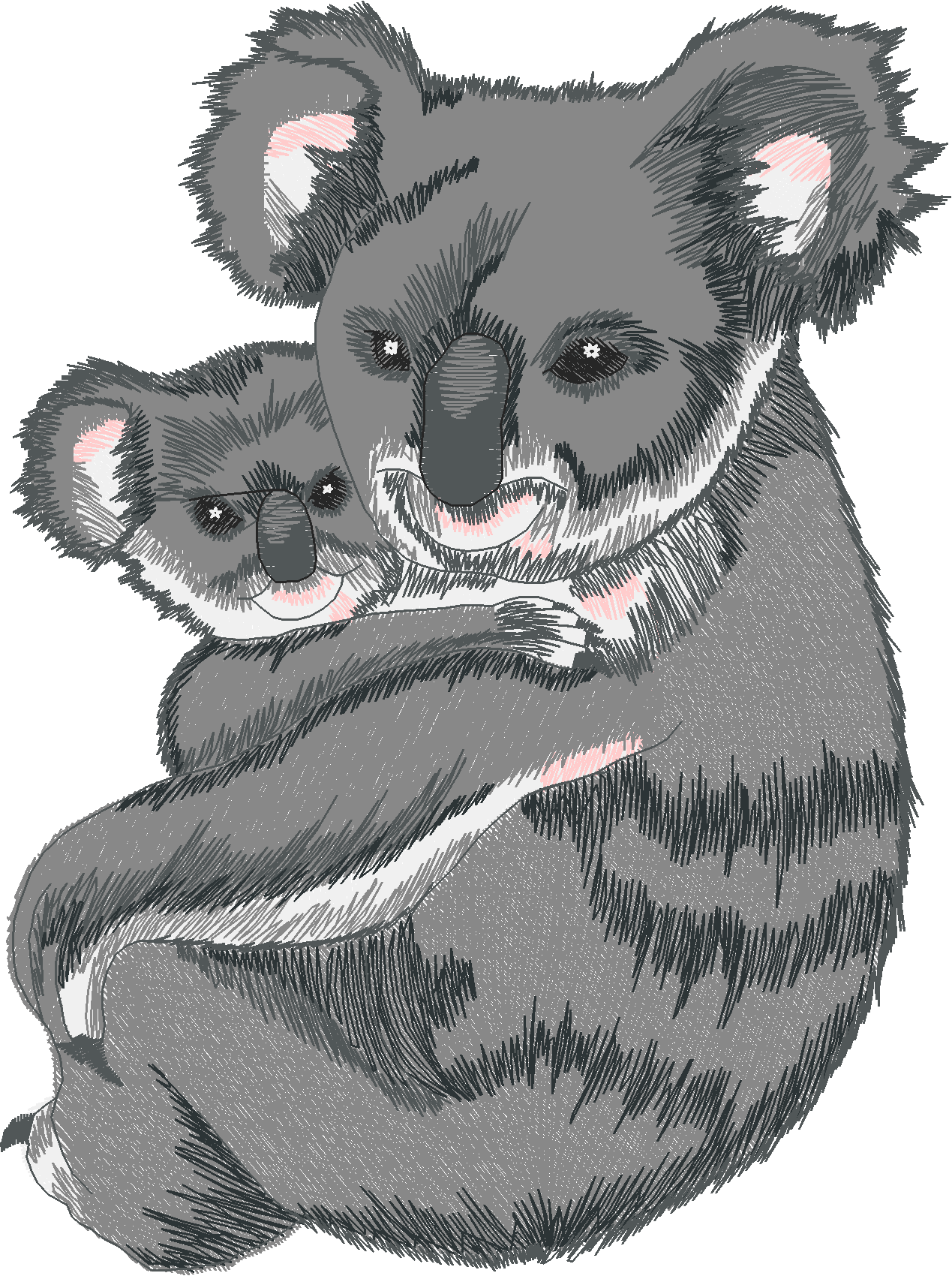 Jumbo   Pandas 1  (6)