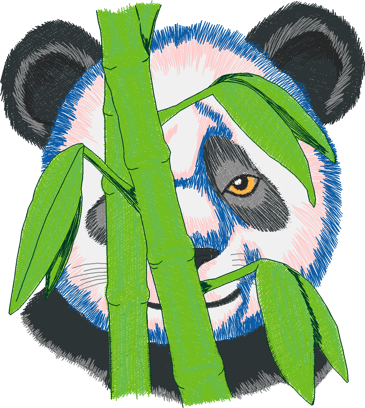 Jumbo   Pandas 1  (9)