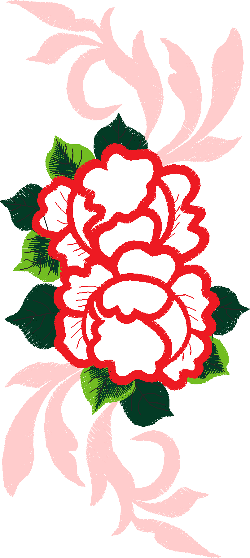Jumbo Roses 1  (5)