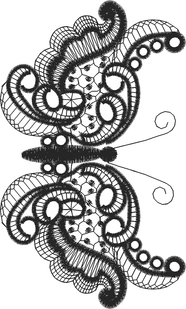 Lace 41  (38)